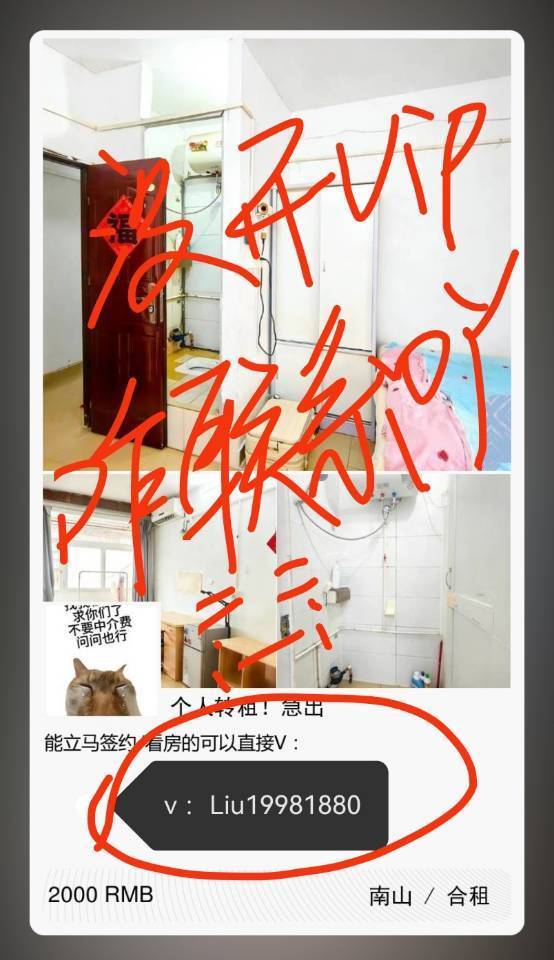 深圳 南山 | 龙城新苑_4