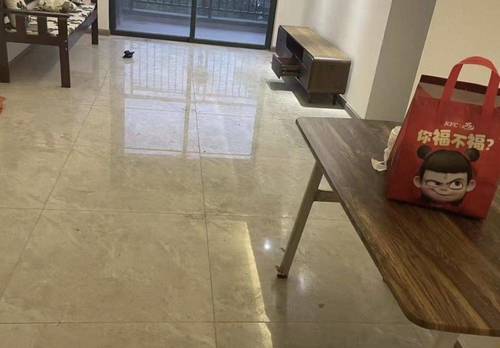 增城 奥园中新誉府-6号楼