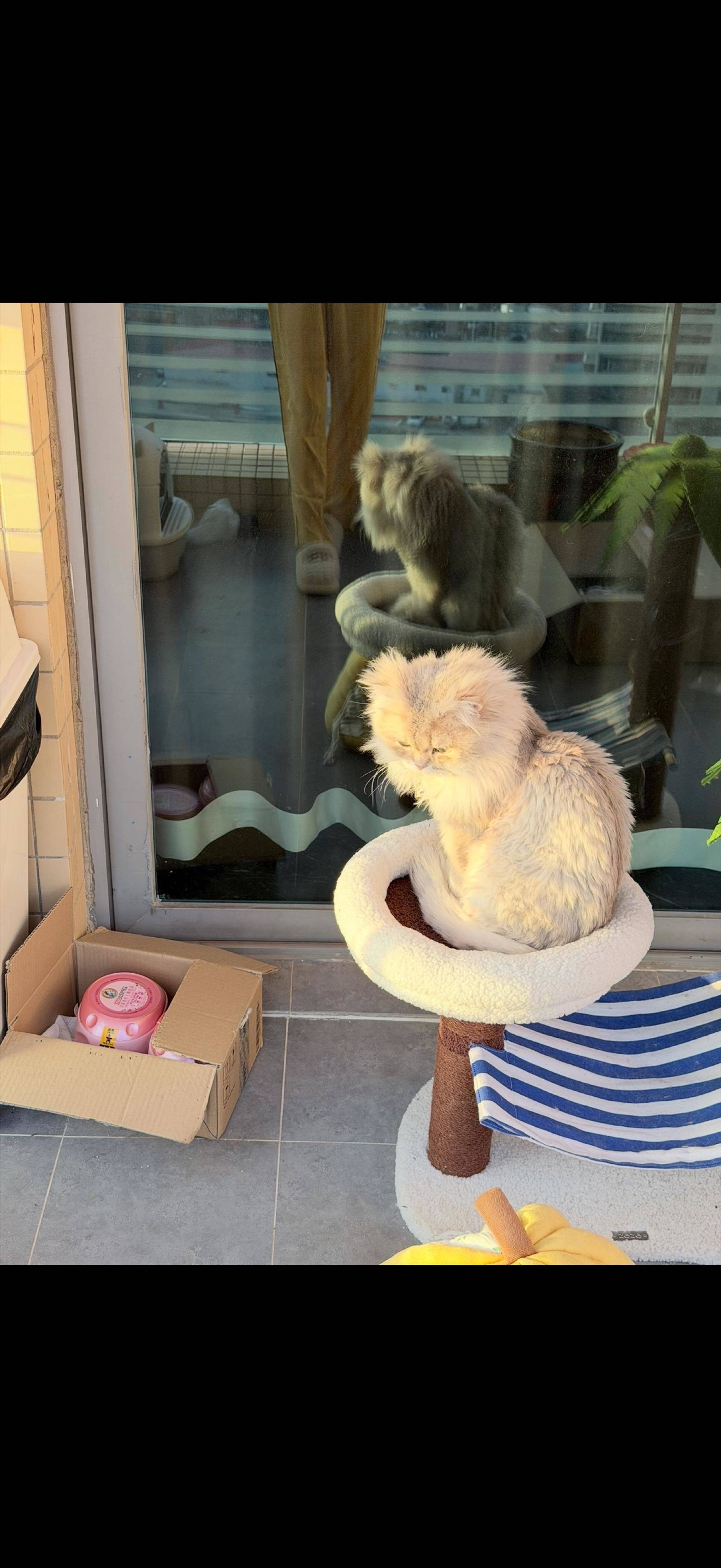 武汉 硚口 | 汇豪邸_7