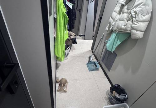 義烏 柳青八区-16号楼