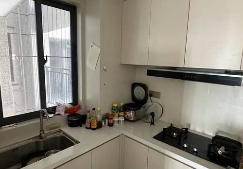 倉山區 大东海·中央府-A区