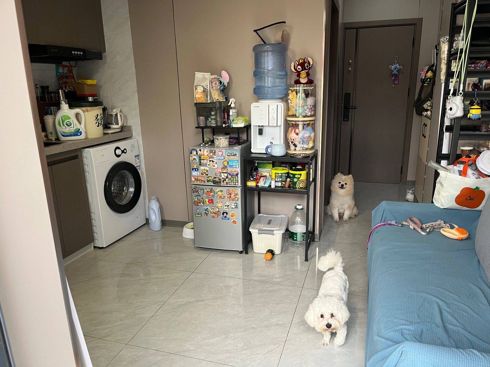 深圳 寶安 | 钟屋新村小区-中一区_6