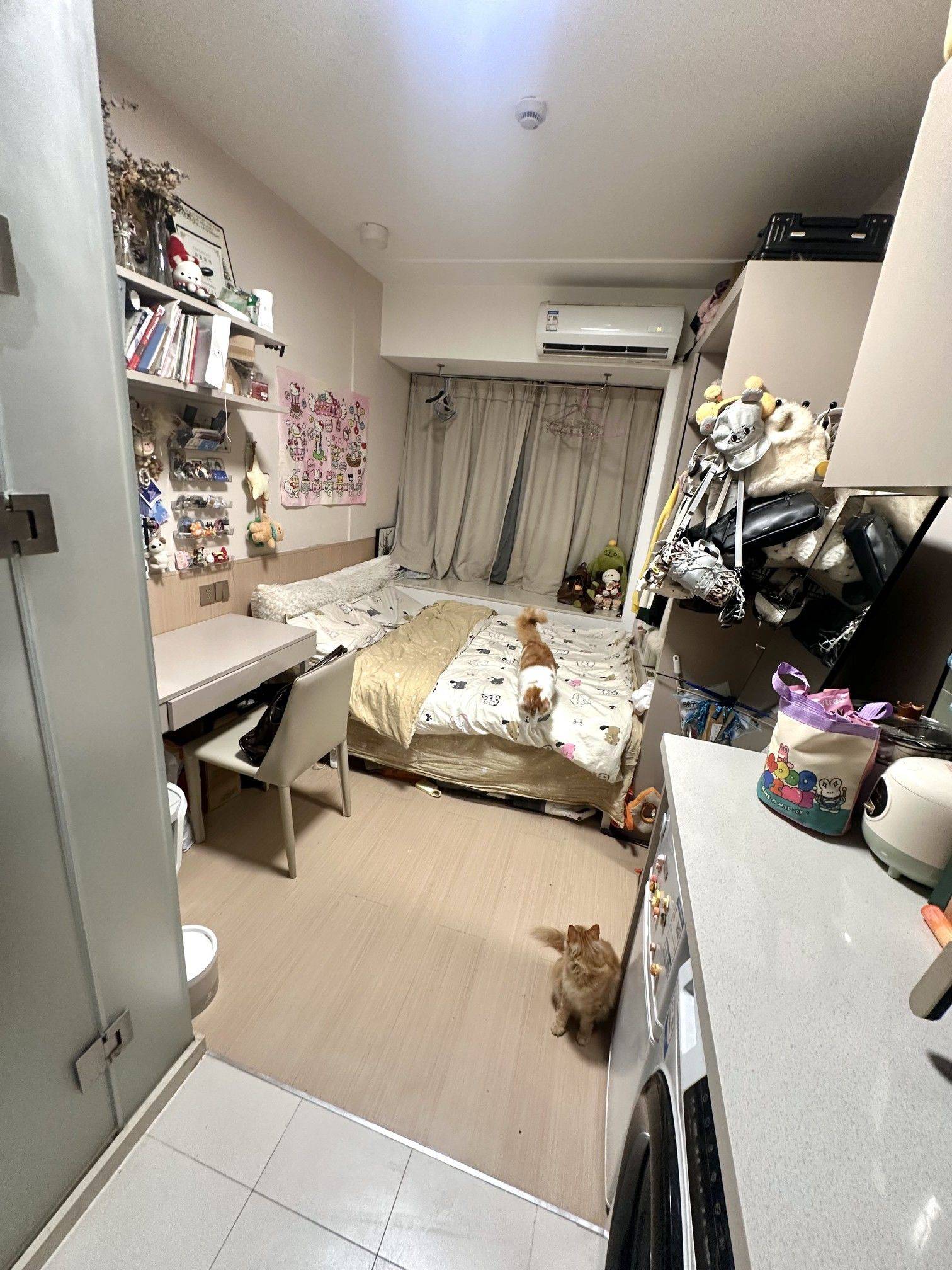 你好可爱整租房源2