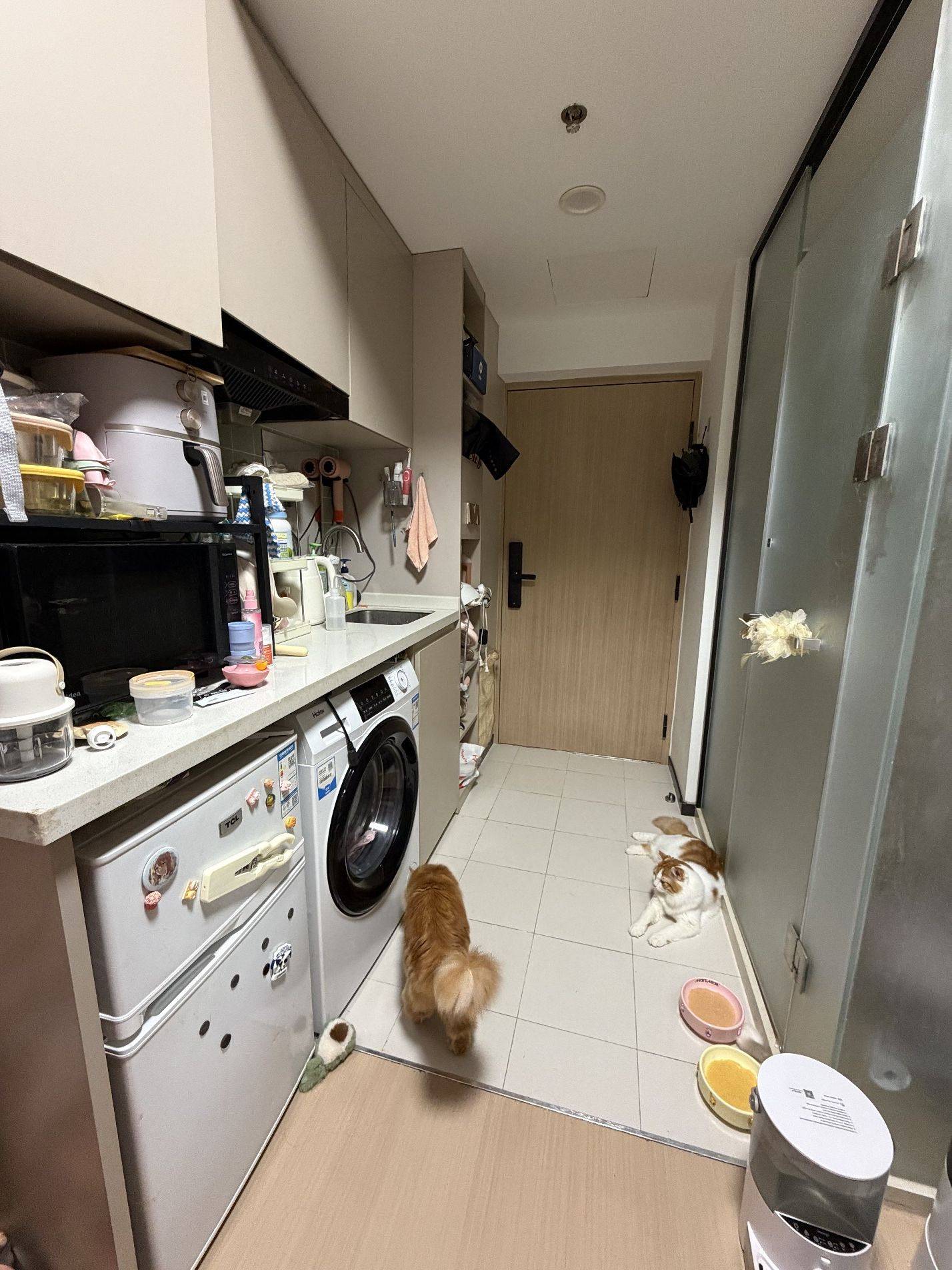 上海 闵行 | 海尚·米兰_6