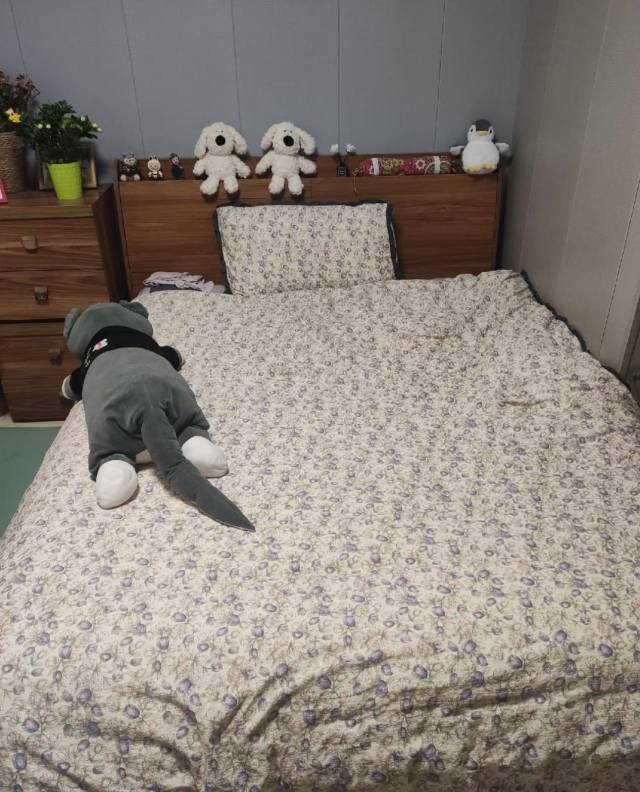 未央 西安经开瑾程酒店(文景路地铁站店)