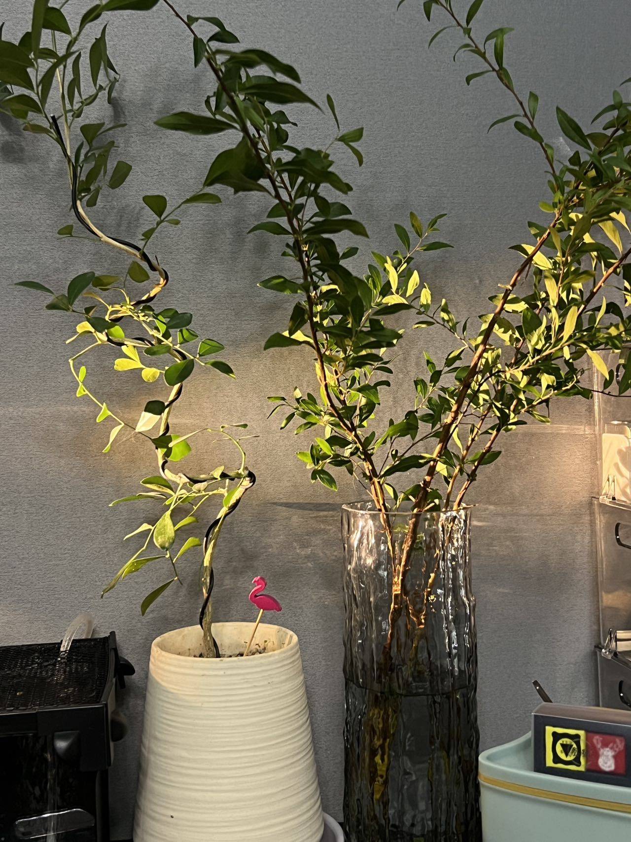 Hangzhou Xiaoshan | 家联公寓西区_4