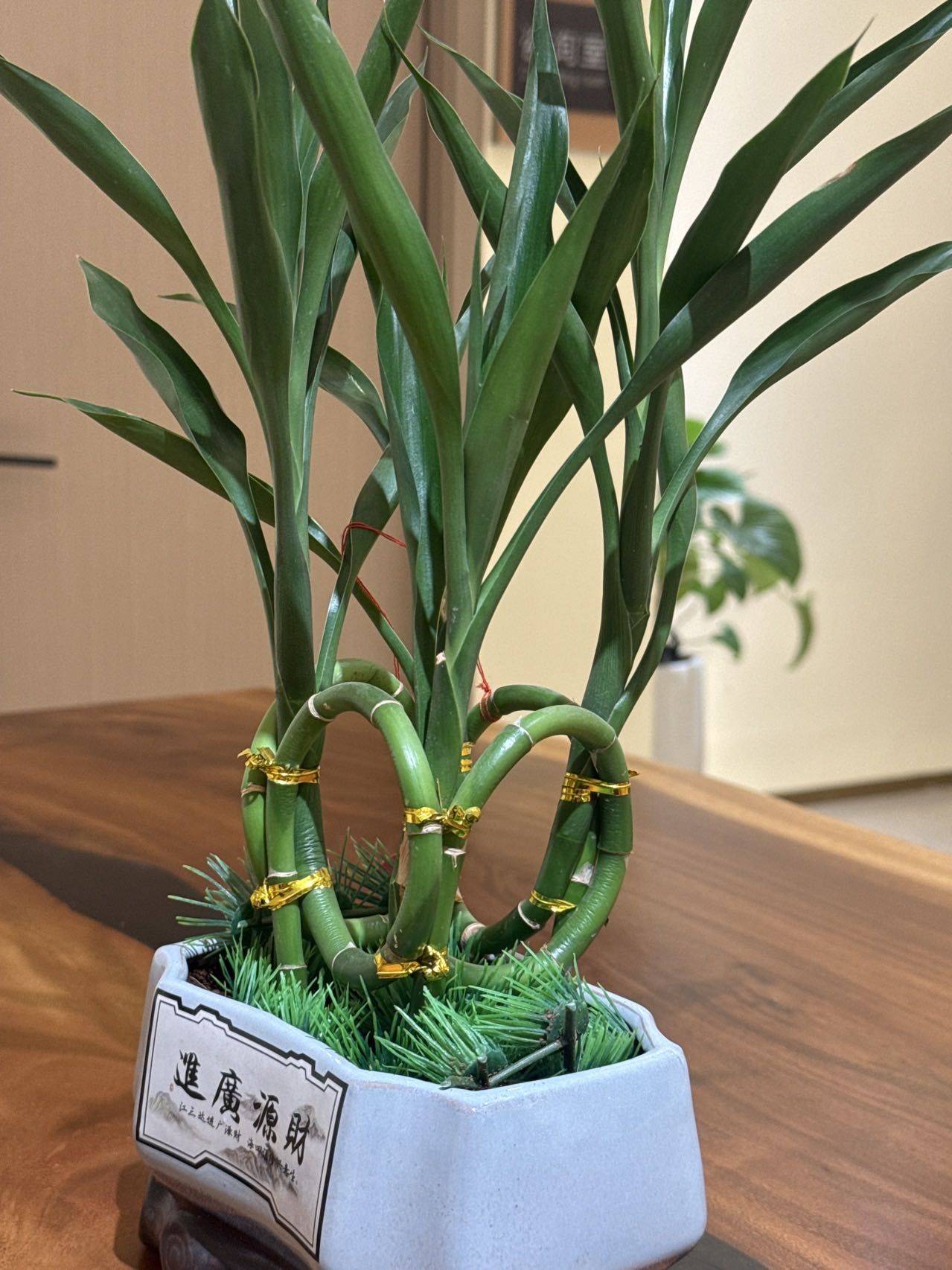 温馨小窝-干净治愈