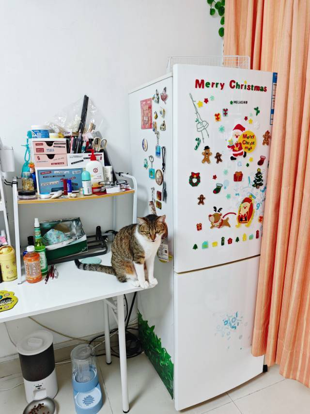 深圳 福田 | 鹏益花园_4