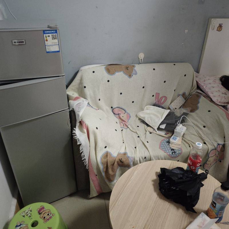 Shenzhen Longhua | 欢乐屋公寓(龙华店)_4