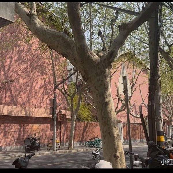 神灯的丁整租房源1