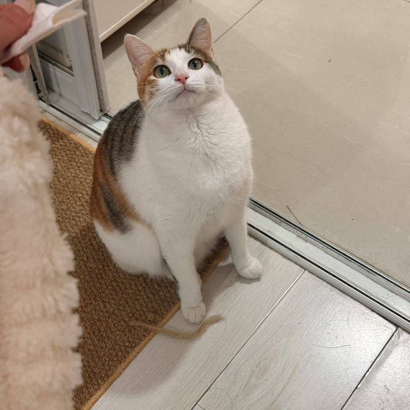 上海 浦东 | 阳光三村_7