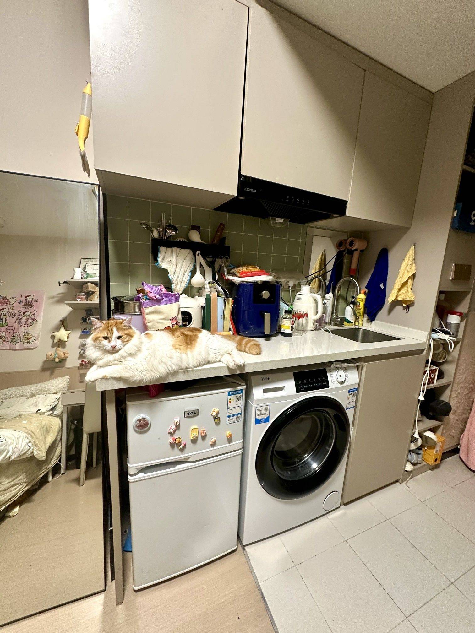 上海 闵行 | 海尚·米兰_5