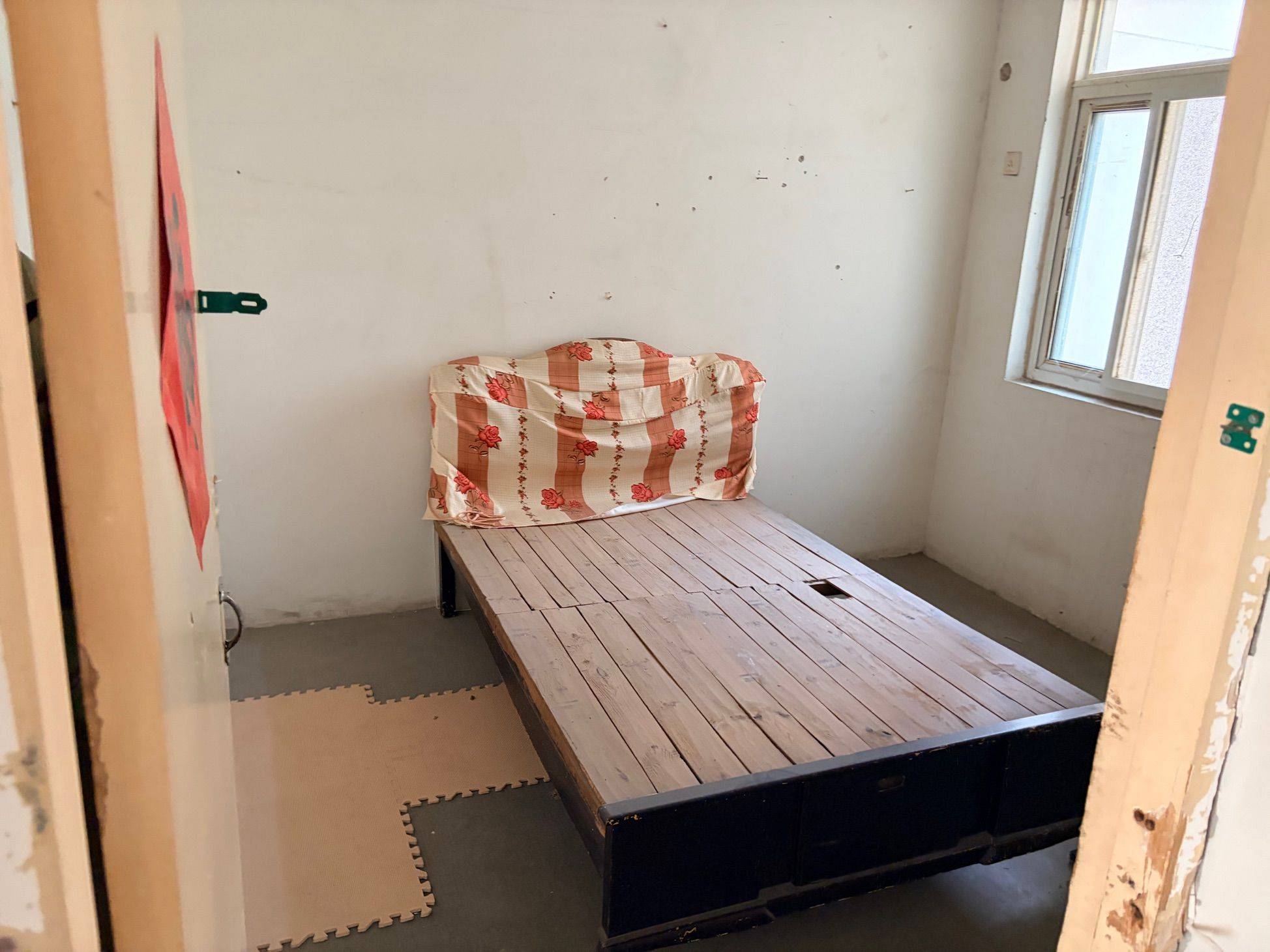 龙血树整租房源3