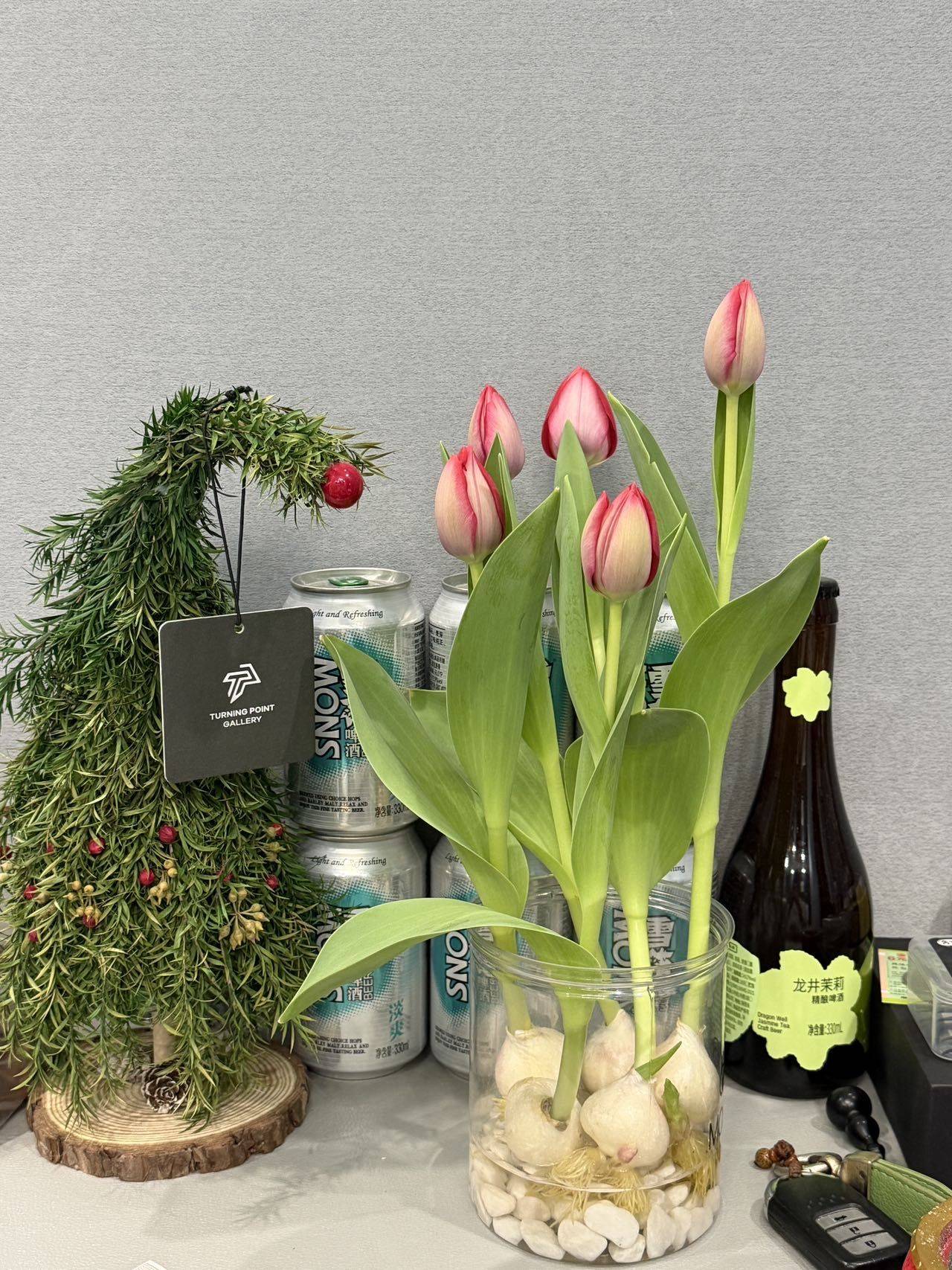 小叶同学整租房源3