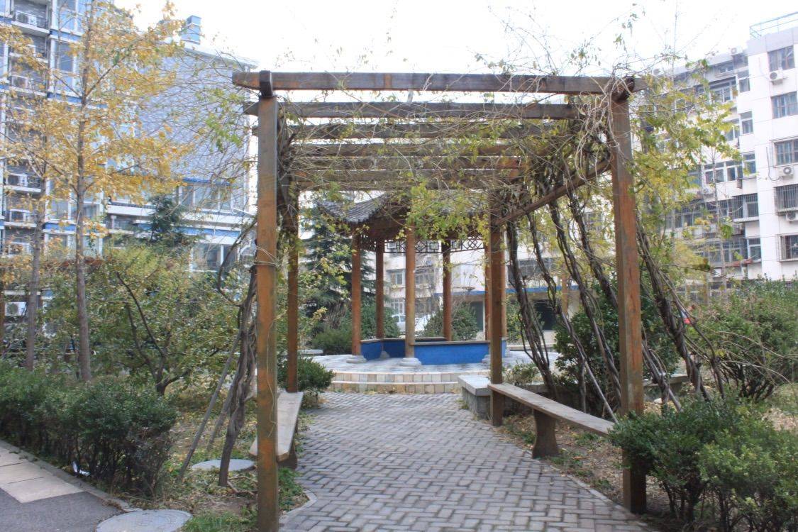 北京 朝阳 | 点击未来沁居_4