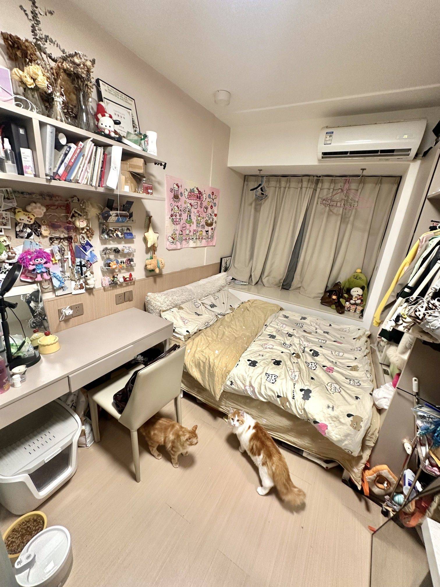 你好可爱整租房源1