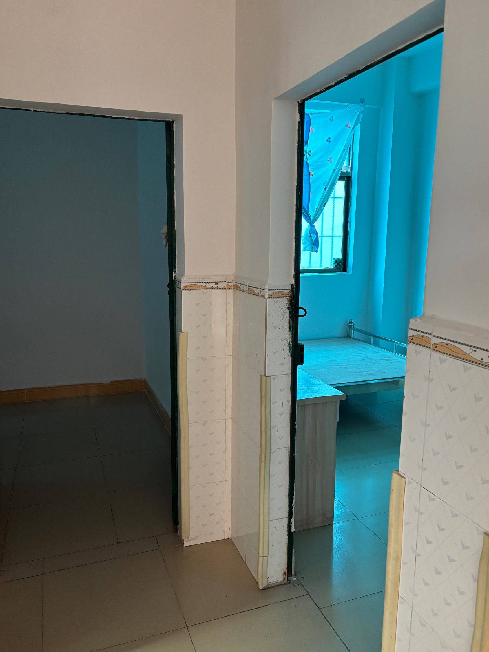 东莞 塘厦 | 莲湖村_2