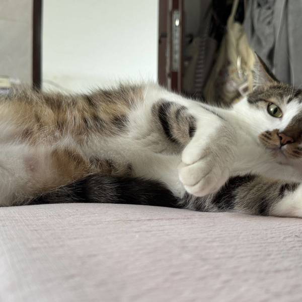 暮山紫整租房源1