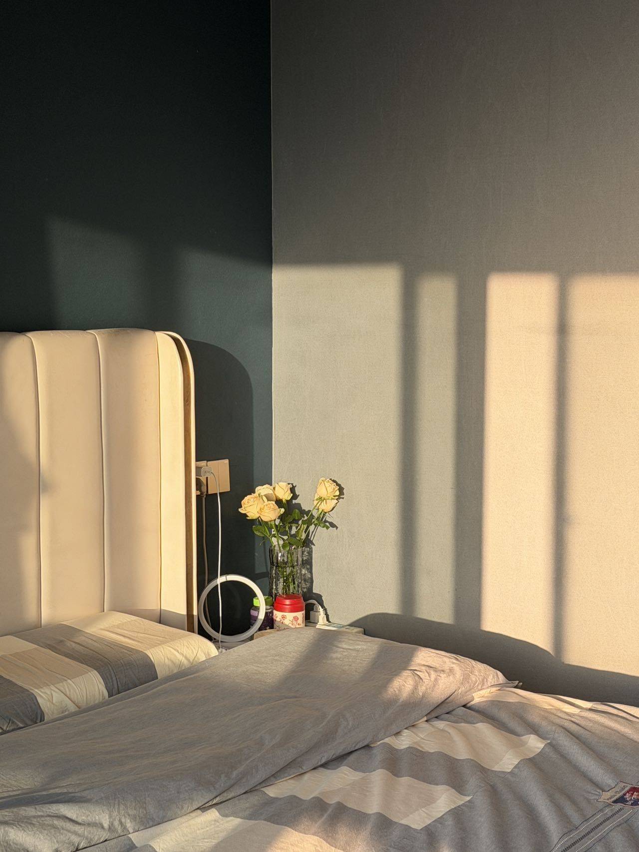 小叶同学整租房源1