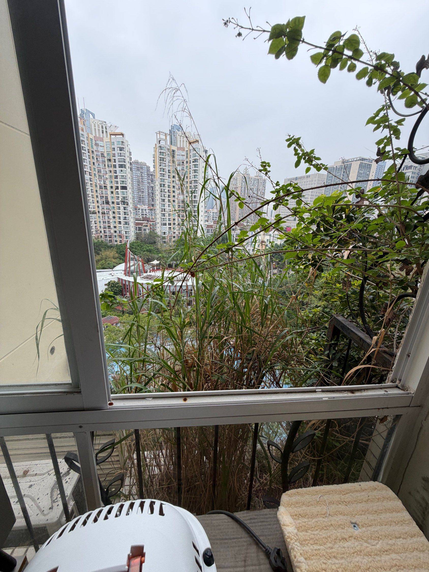 深圳 南山 | 阳光棕榈园_6