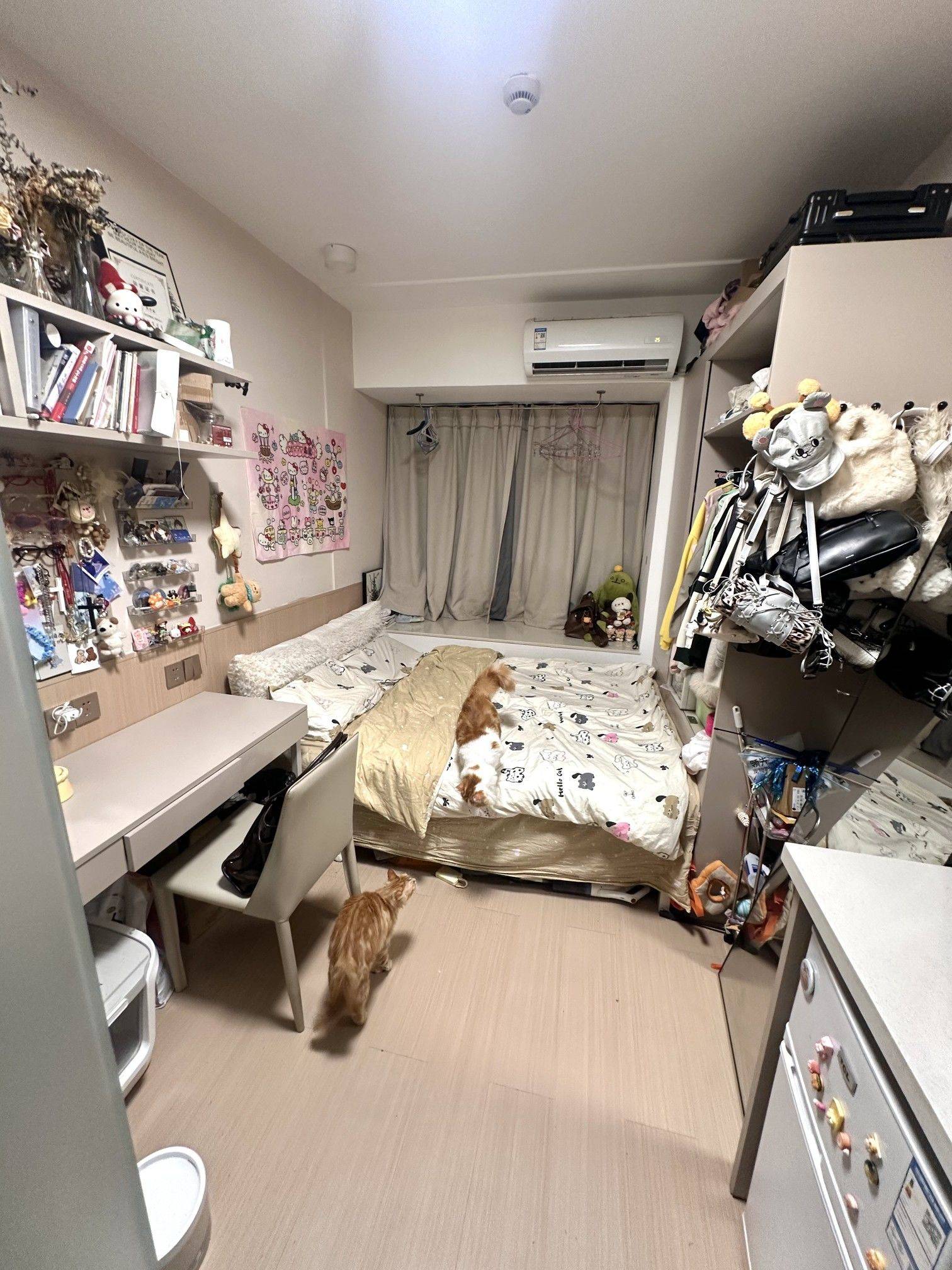 你好可爱整租房源3