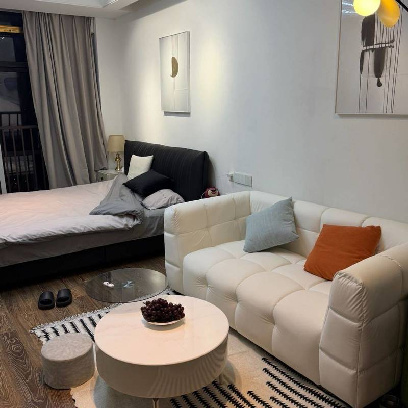 Hefei Baohe | 新世界公馆_3