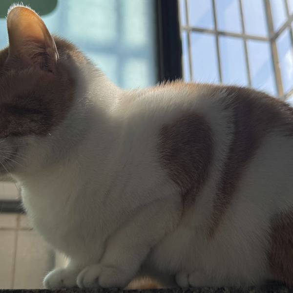 暮山紫整租房源3