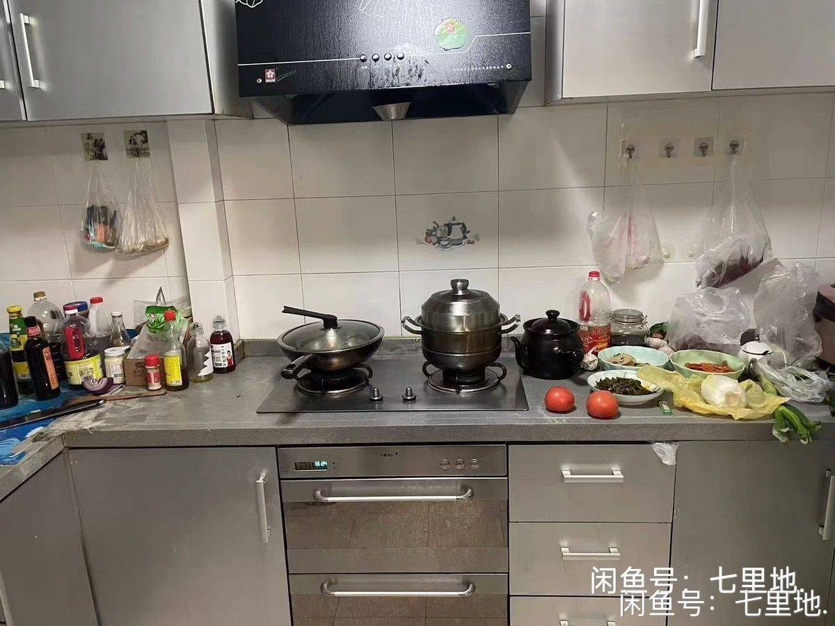 Shanghai Yangpu | 民庆家园-558弄17号楼_4