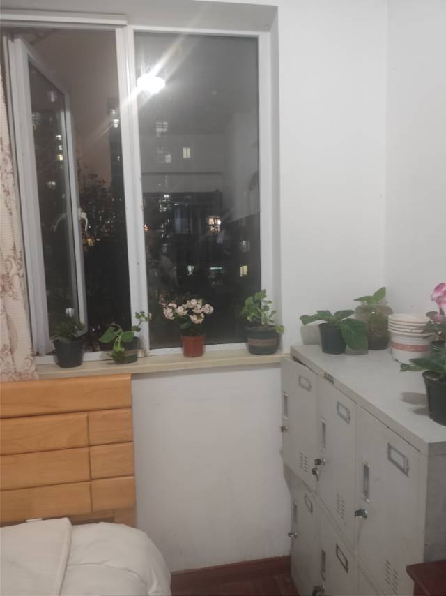 魔法鲨鲨整租房源1