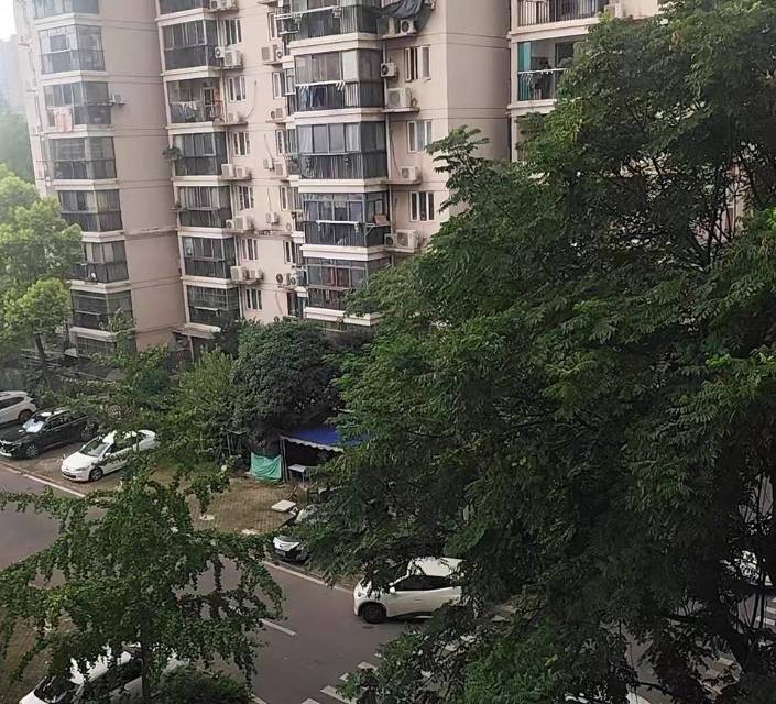 魔法鲨鲨整租房源2