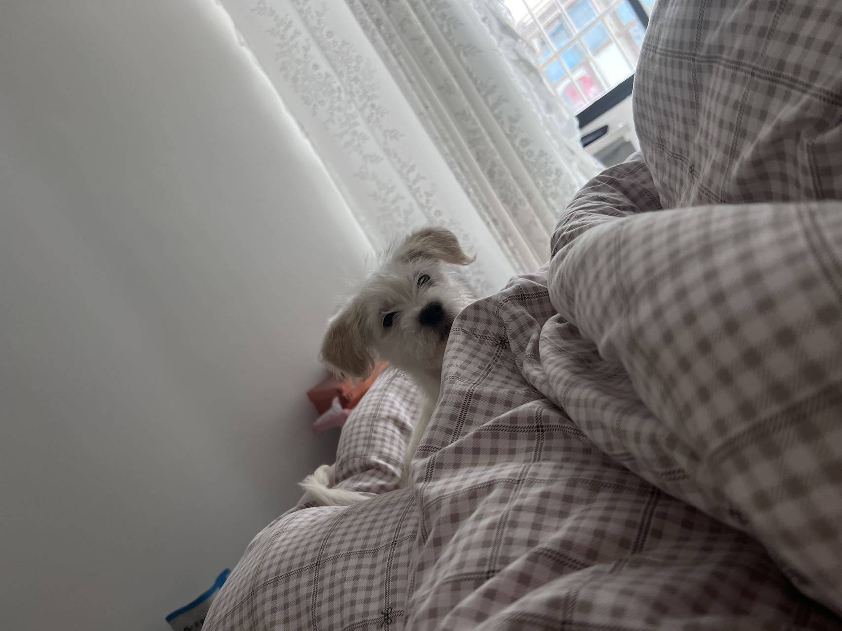 糊涂涂整租房源3