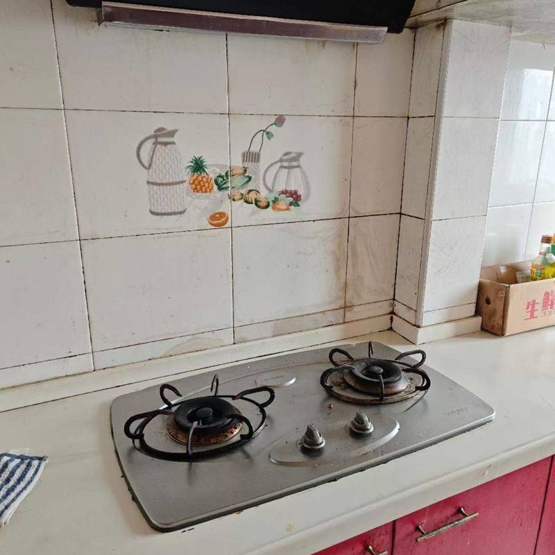 上海 闵行 | 新梅莘苑_4