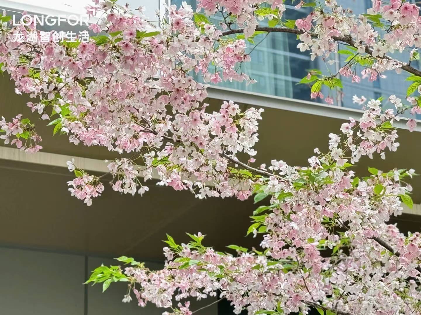 杭州 余杭 | 龙湖交控·杭与城_5