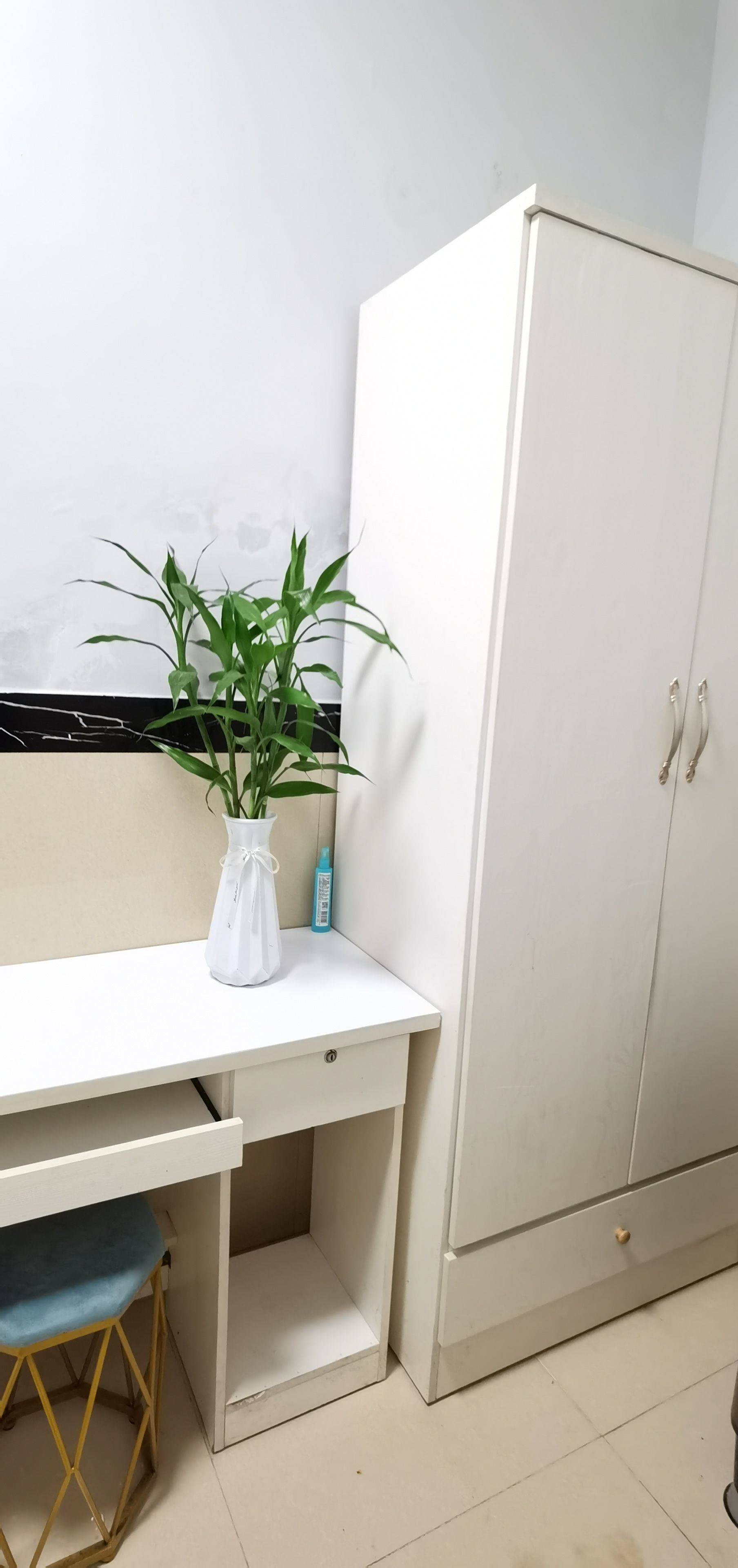 房东直租（地铁口）整租房源3