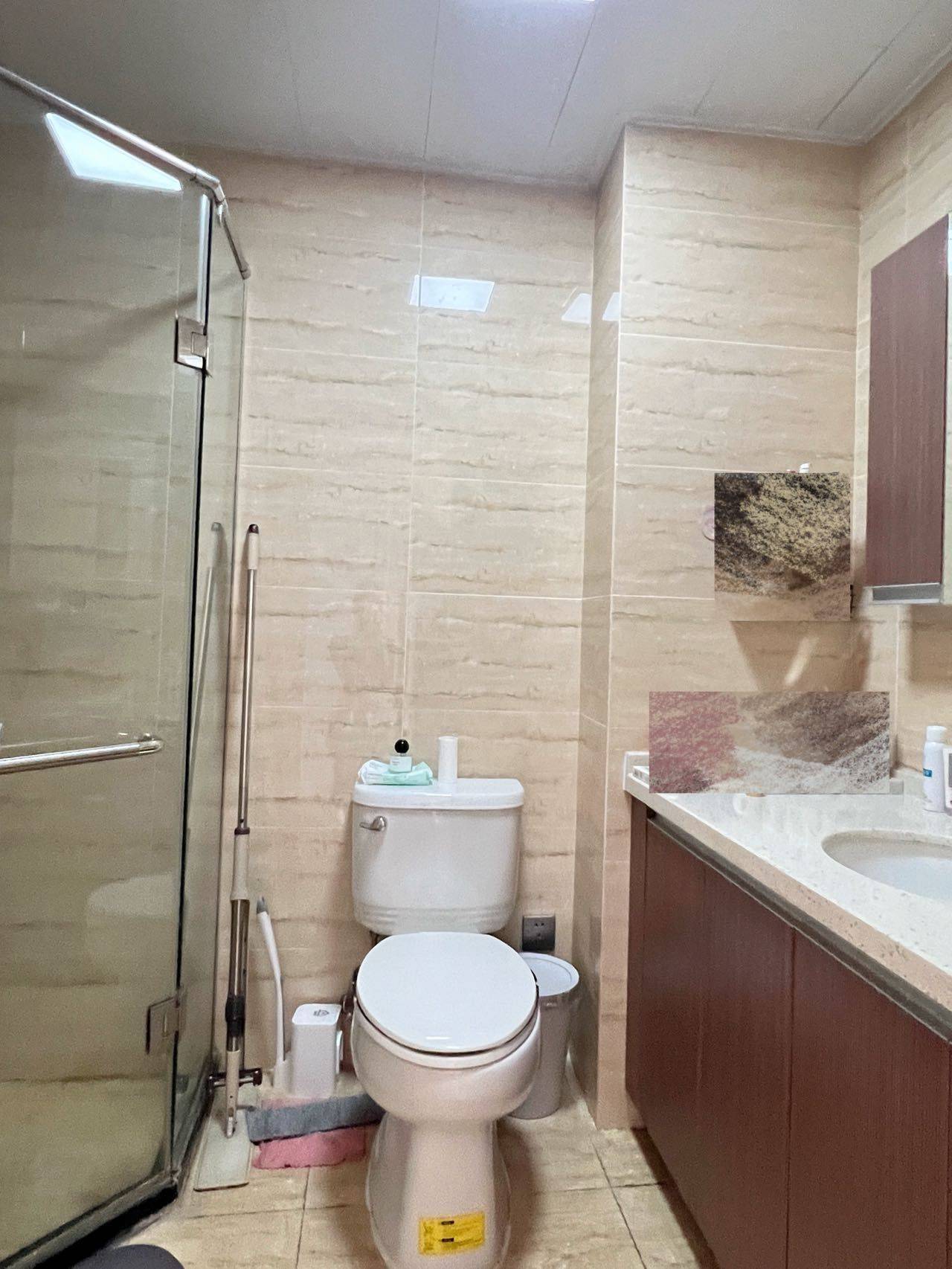 沈阳 浑南 | 保利达大象_3