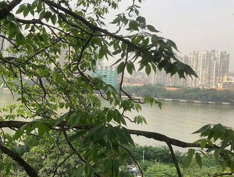 广州 越秀 | 临江商务中心_5