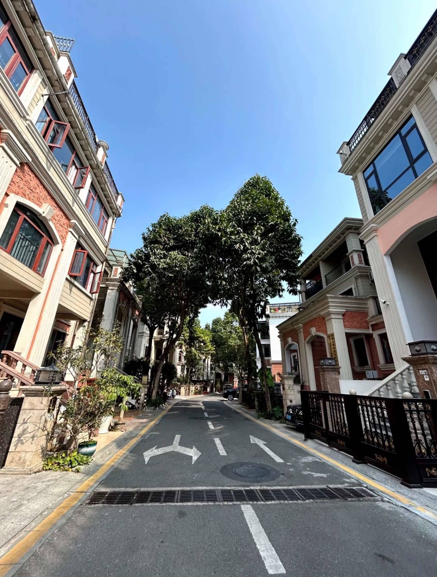 深圳 龙岗 | 十二橡树庄园2期_5