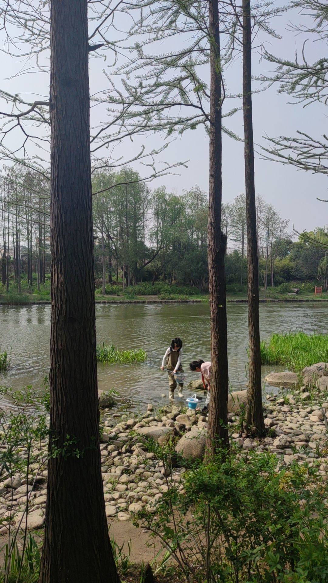 Shanghai Yangpu | 民庆家园-558弄17号楼_6