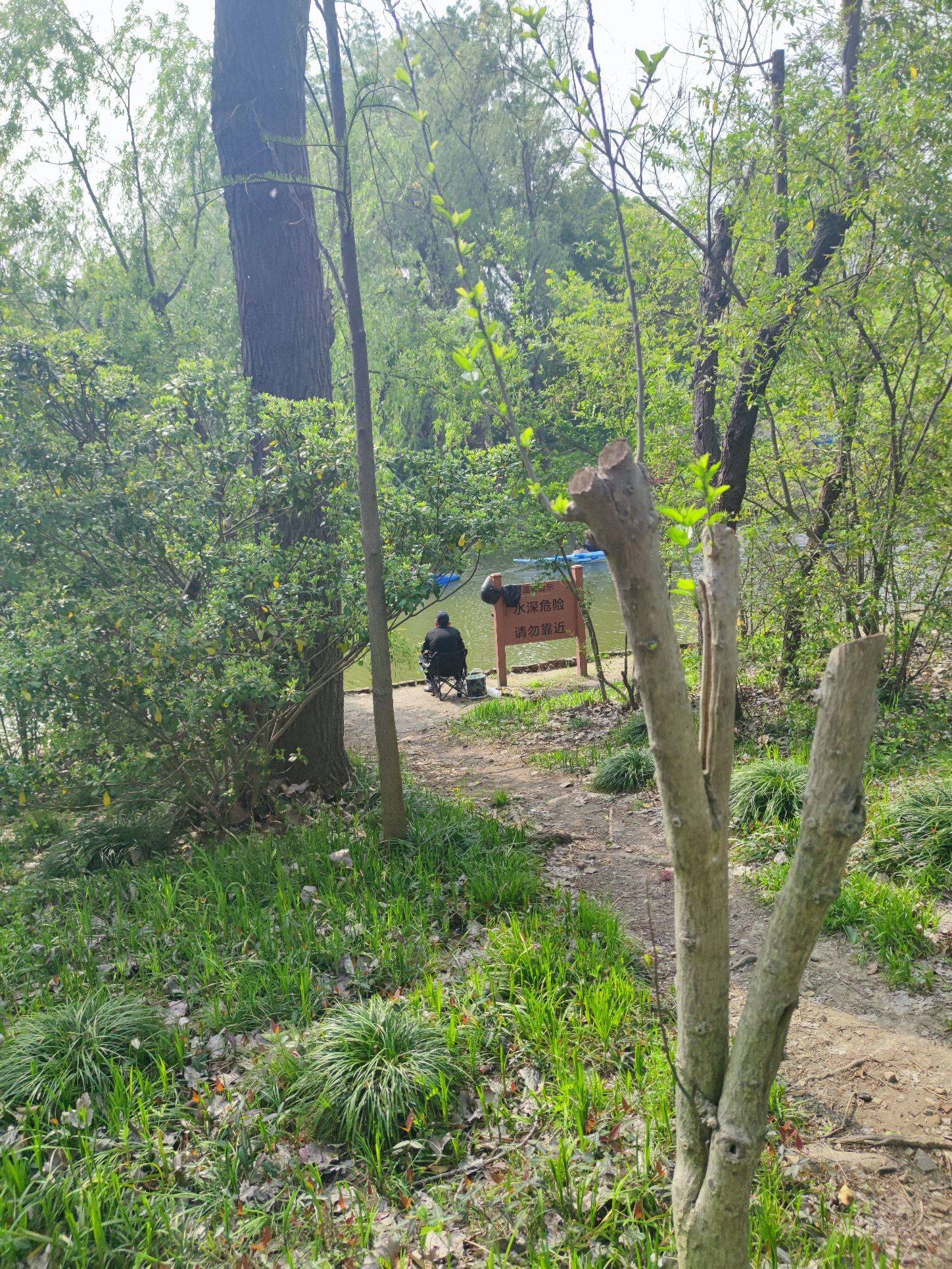 Shanghai Yangpu | 民庆家园-558弄17号楼_7