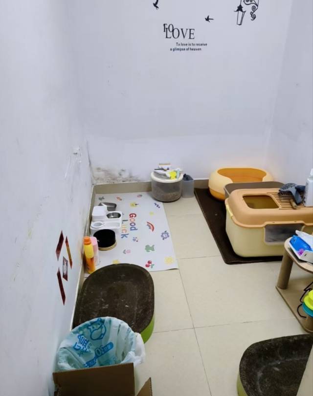 东莞 南城 | 晶城孚泰明园小区_4