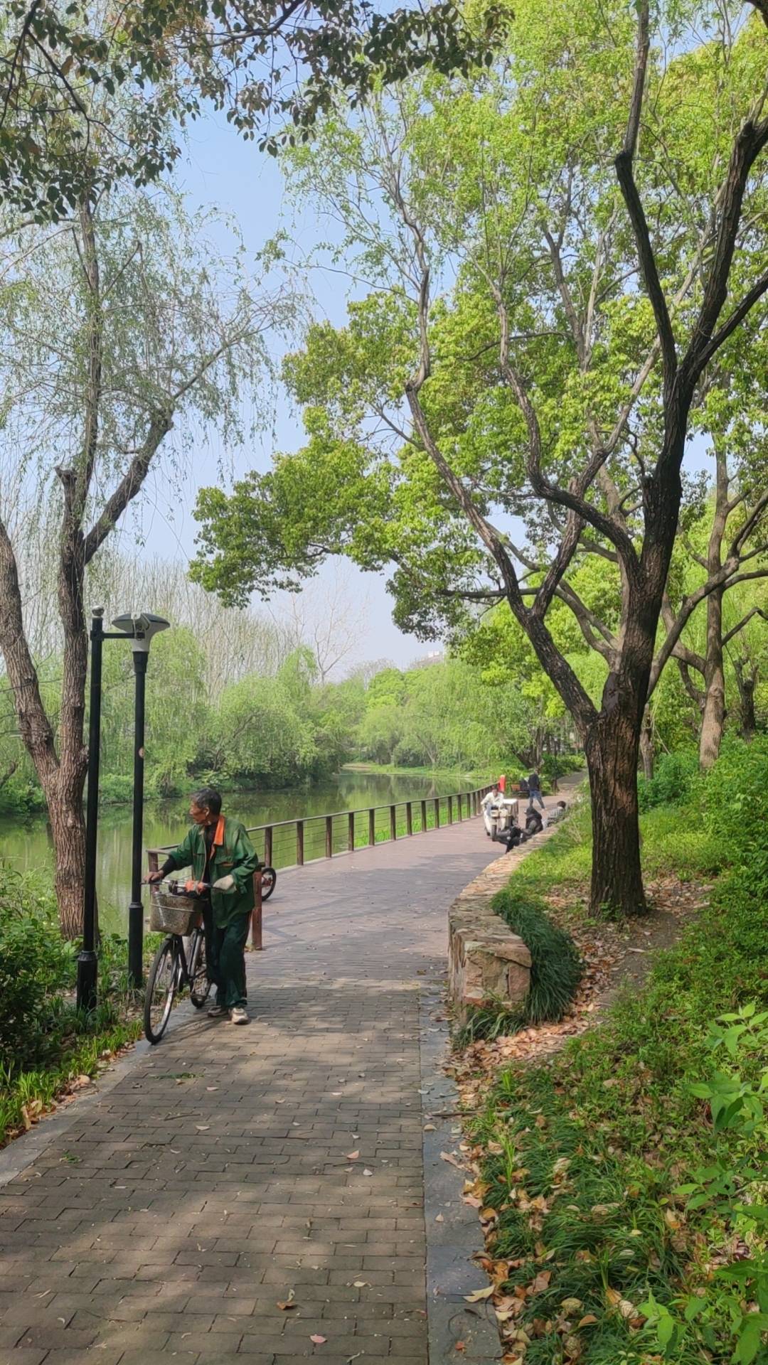 Shanghai Yangpu | 民庆家园-558弄17号楼_8