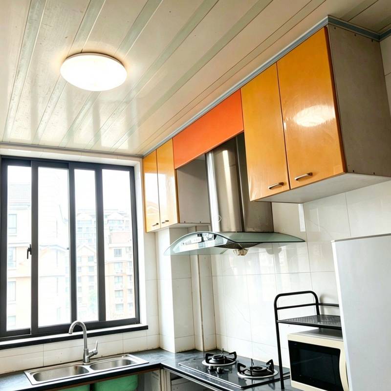 上海 浦东 | 绿地康桥新苑_5