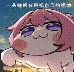 晒喵咪的阳光整租房源1