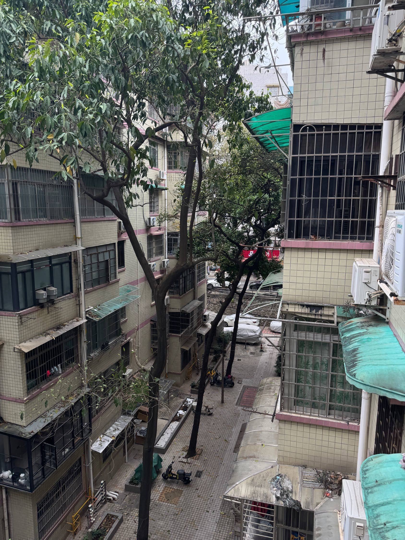 广州 越秀 | 科学院住宅大院_6