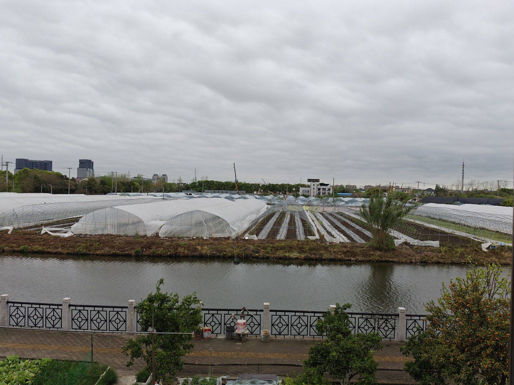 上海 青浦 | 金葫芦新村-十区_5