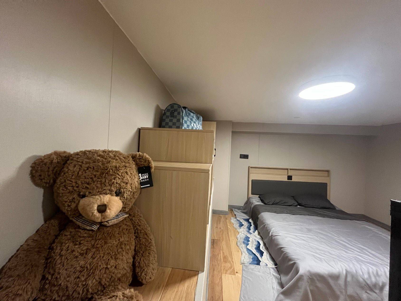 桃溪路著名草莓🍓整租房源3