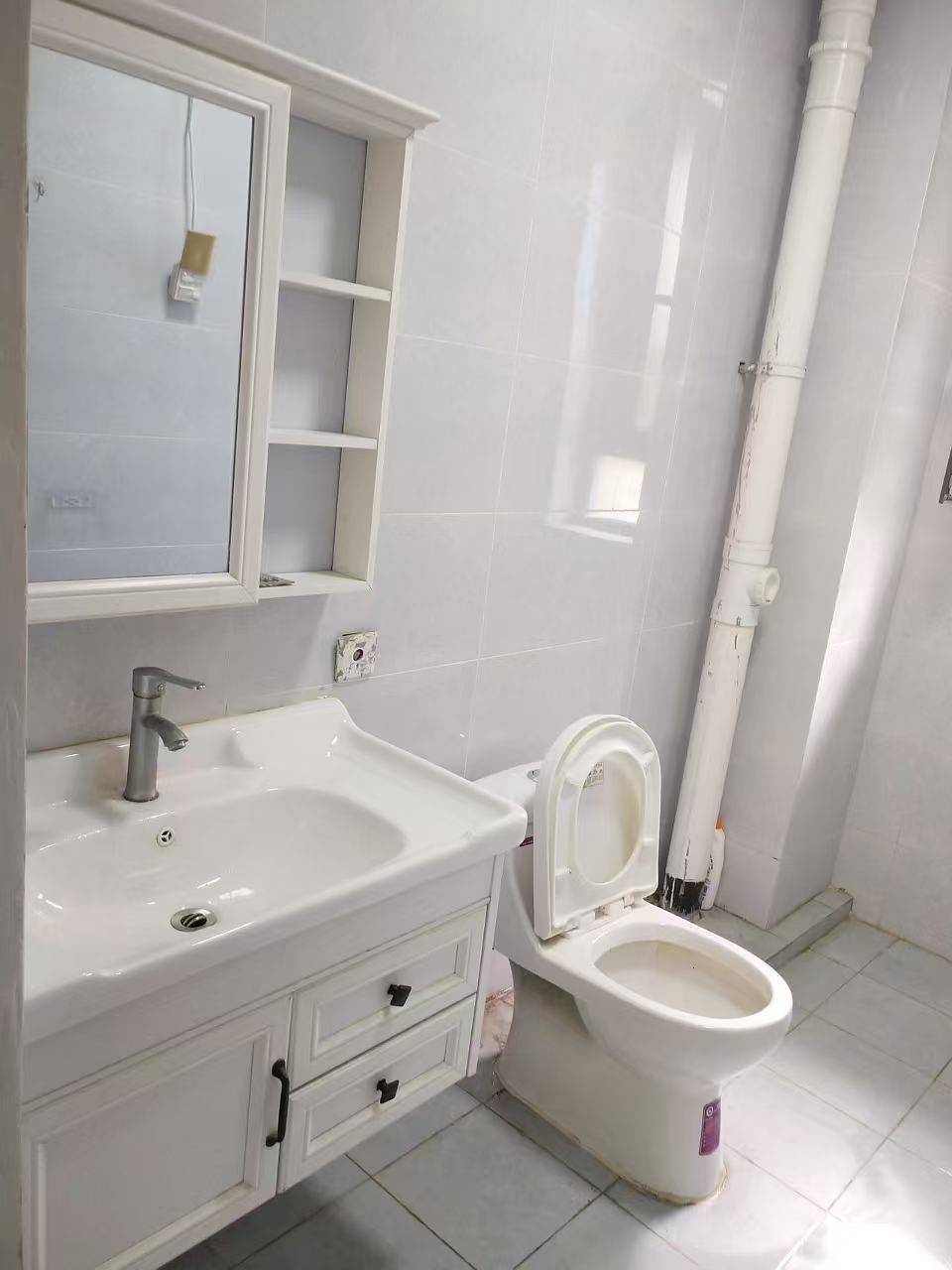 历城 中新·国际东城三区