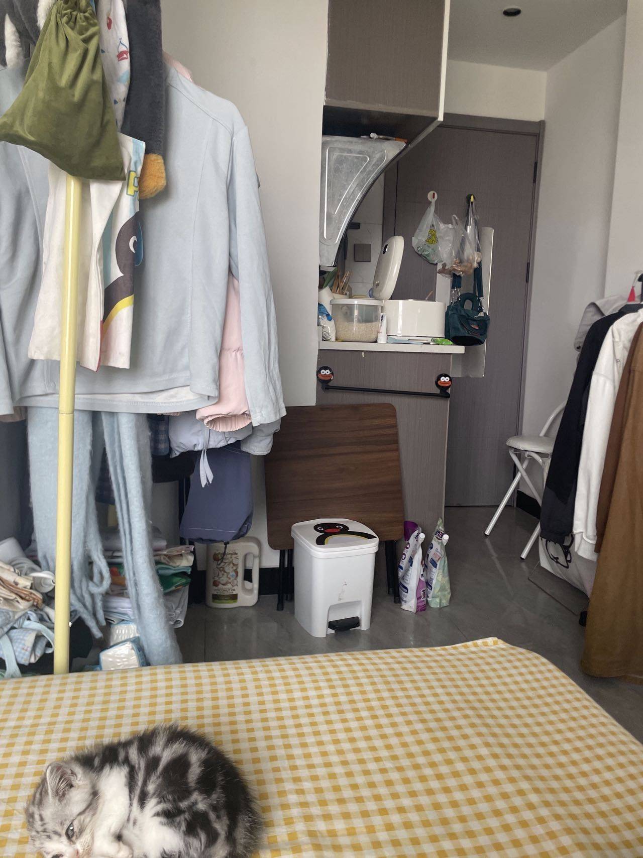 杨思鹅kiki拿自己整租房源3