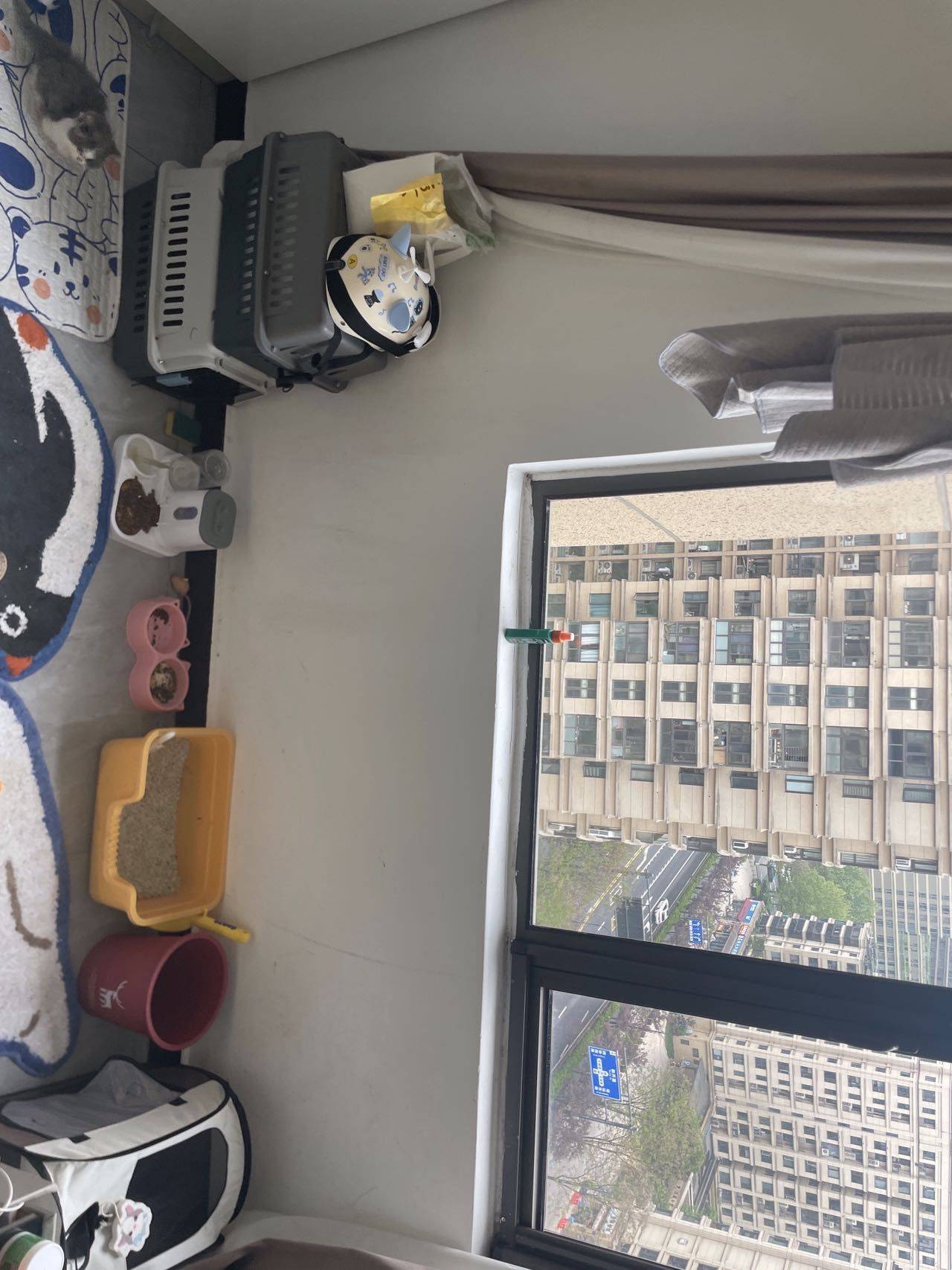 杨思鹅kiki拿自己整租房源2