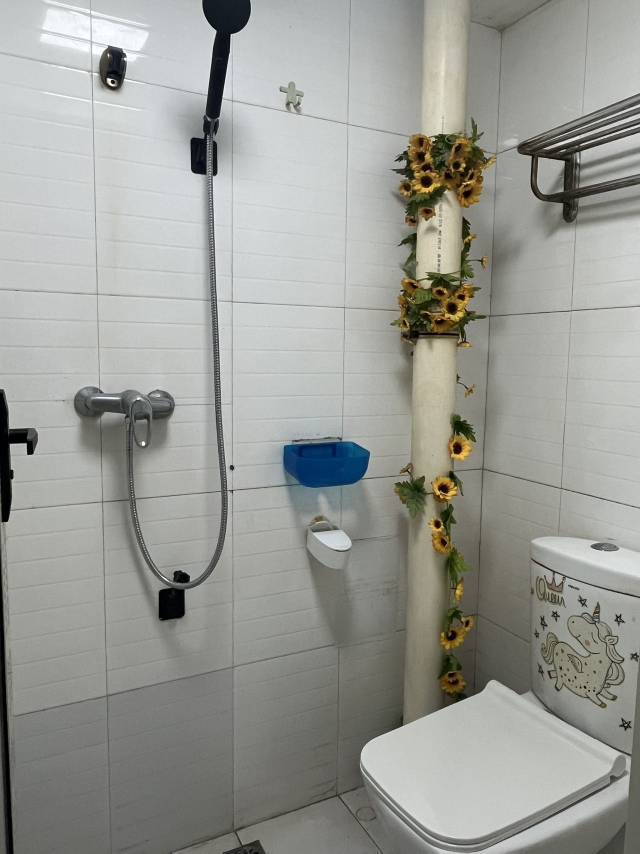 西瓜头整租房源3